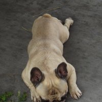 Релакс :: Freddy 97