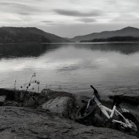 Брошенное детство. :: Алексей Ильичёв