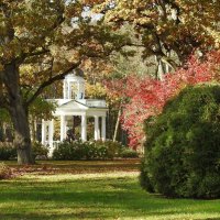 осень :: ИННА ПОРОХОВА