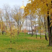 Осень :: Надежда Осень :: Надежда