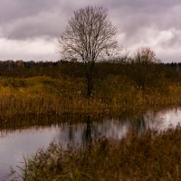 На пруду :: Сергей Зонов На пруду :: Сергей Зонов