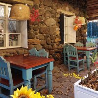 Кафе "Молочня", Павловский парк :: Ирина Румянцева