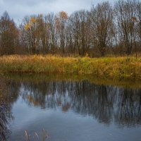 Пруд :: Сергей Зонов