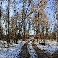 Дорога в осень . :: Мила Бовкун