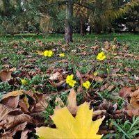 Лето осенью! :: Надежда Лето осенью! :: Надежда