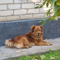 Отдых на солнышке :: Наталья 