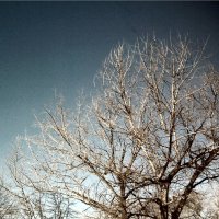 Поздняя осень :: Nora Nowhere