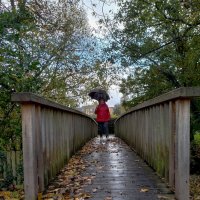 Мостик через Гольдбах :: Сергей Порфирьев