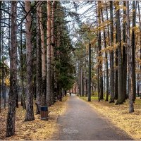 Осенний парк.... :: Aquarius - Сергей Осенний парк.... :: Aquarius - Сергей