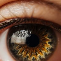 The enchanting beauty of the eyes :: Vsevolod Boicenka