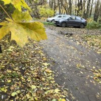 "осенний сюжет" :: Olga Oskolkova