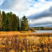 Осень в конце октября. :: Милешкин Владимир Алексеевич 