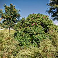 Прогулка по променаду Круизного терминала :: Veera V