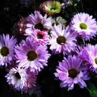 Красота осенняя :: Людмила Смородинская Красота осенняя :: Людмила Смородинская