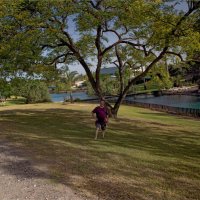 Израиль север страны *Кибуц Нир Давид :: ujgcvbif 