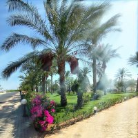 Где-то там... :: Роман Савоцкий