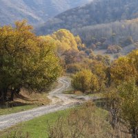 Изящно петляющая дорога :: LudMila 