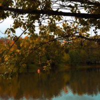 Октябрь уходит еле слышно. :: Татьяна Помогалова