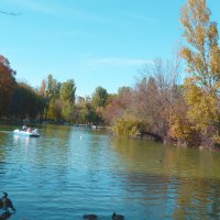 Пейзажи Гагаринского парка :: Валентин Семчишин Пейзажи Гагаринского парка :: Валентин Семчишин