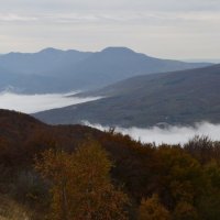 Природа Крыма :: Amazing Cosmea