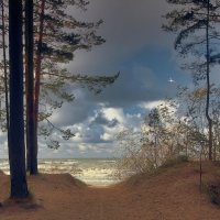 Усть-Нарва. Октябрь :: Marina Pavlova