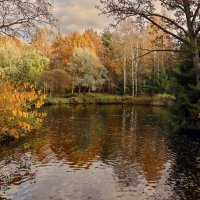 Шуваловский парк :: skijumper Иванов