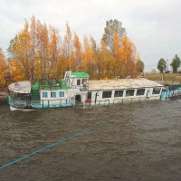 *** :: Сергей Григорьев