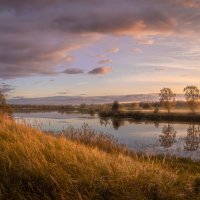 **** :: Елизавета .