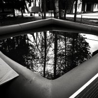 Фотография :: Денис Безногов