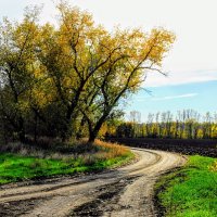 Осень. :: Владимир 