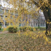 Осенний сюжет :: Galina Solovova Осенний сюжет :: Galina Solovova