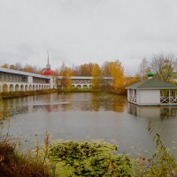 Сырково озеро :: Сергей Кочнев