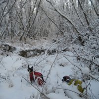 Прогулки по островам :: Anna Ivanova Прогулки по островам :: Anna Ivanova