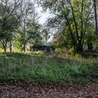 Заброшенка :: Андрей Щетинин