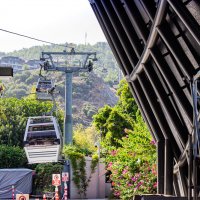 Канатная дорога :: Светлана SvetNika17