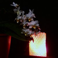 102 :: Василий Палий 102 :: Василий Палий