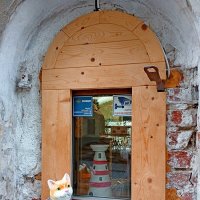 КотоВыборг ☺ :: Лия ☼ КотоВыборг ☺ :: Лия ☼