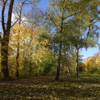 У осени так много настроений! :: Галина У осени так много настроений! :: Галина