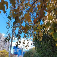 ,,, :: Сергей Тимоновский