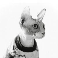 Тая :: Андрей Зайцев