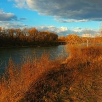 *** :: (Владимир С)