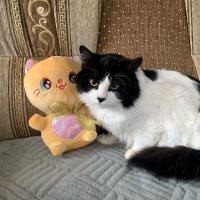 Пушок с моим подарком! :: Нина Андронова