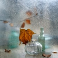 осенний этюд... :: Natali-C C