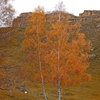 Золотая осень :: Екатерина Филипенко