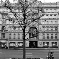 Тверская. Черно-белая фотография. :: Любимова Ольга 