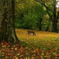 Октябрьские мотивы :: Юрий. Шмаков