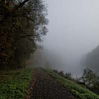 ------------- :: igor G. ------------- :: igor G.