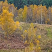 Палитра октября... :: Владимир Жданов