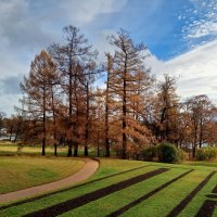 Осень :: Сапсан 