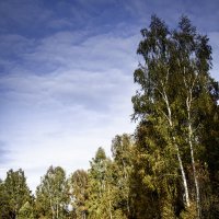 Осень. :: Алексей Пышненко